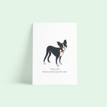 Load image into Gallery viewer, Boston Print